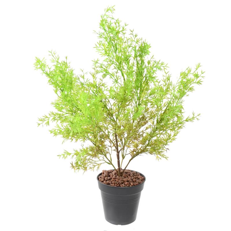 Asparagus Artificiel Piquet