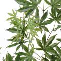 Aralia artificiel New Spray *44