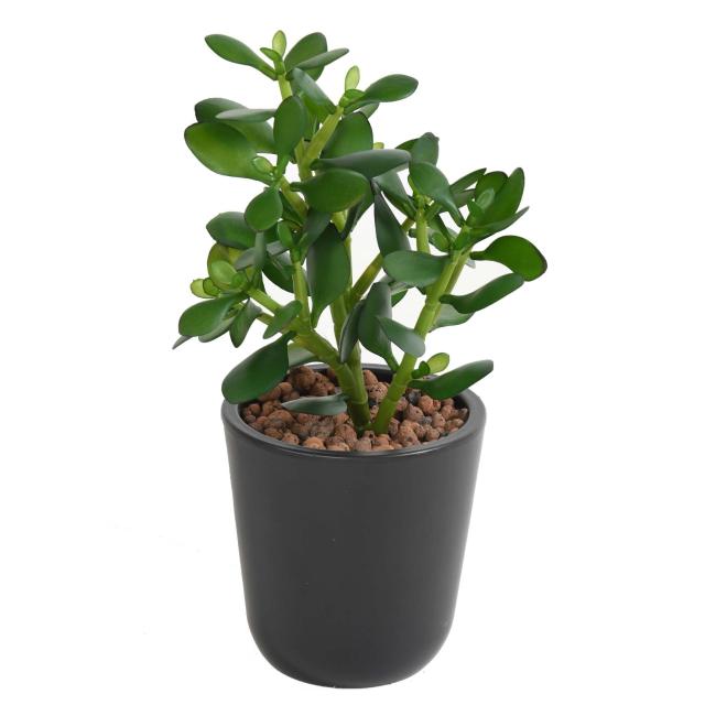 Crassula Jade Plant Artificiel de 30 cm de Hauteur