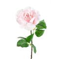 Rose 66 Artificielle