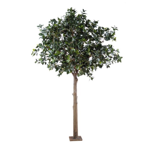  Camelia Japonica TREE Artificiel de 3 m de Haut et 2m10 D'envergure