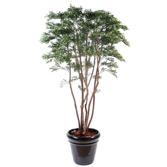 Saule Américain PLAST de 175 cm de Hauteur Pour Extérieur