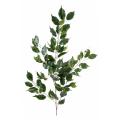 Ficus Artificiel Giant TREE