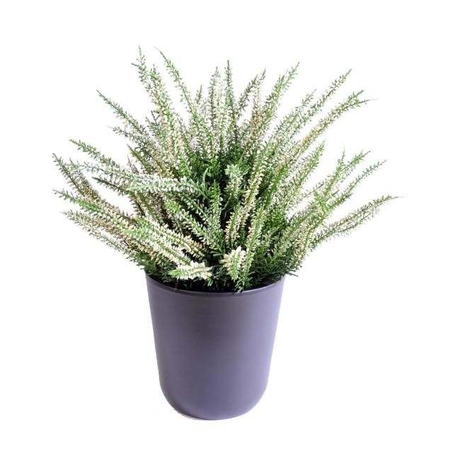 Bruyère Artificielle Large en Pot 35 cm de Hauteur et 40 cm de Largeur