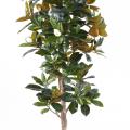 Magnolia Artificiel