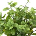 Menthe Artificielle 25 Pot