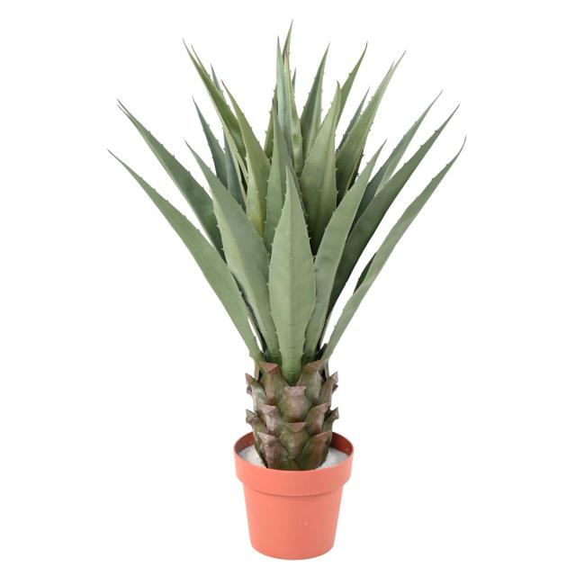 Agave Artificielle 85