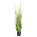 Onion Artificiel Grass Graine