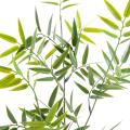 Bambou Artificiel Japanese PLAST SPRAY UV