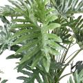 Philodendron Artificiel Selloum