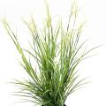 Acorus Artificiel Fleuri Pot