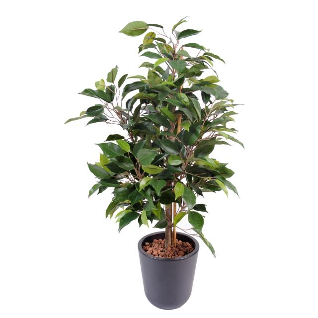 Ficus Artificiel Natasja en Pot de 10