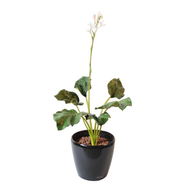 Hosta Artificiel Fleuri en Piquet 82 cm de Hauteur