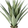 Agave Artificielle 85