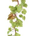 Vigne Artificielle Branche