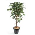 Ficus artificiel tronc simple grandes feuilles