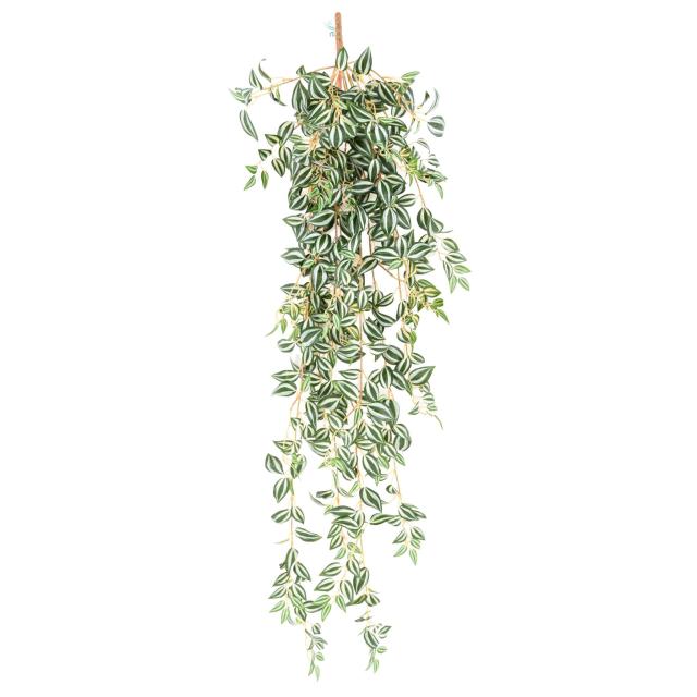 Tradescantia Artificiel 70