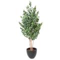 Eucalyptus Artificiel Gunnii Buisson