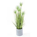 Chrysopogon Artificiel Grass