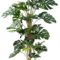 Philodendron Artificiel Tuteur Coco NEW