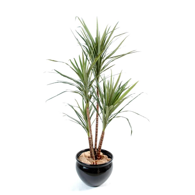 Dracena artificiel Marginata
