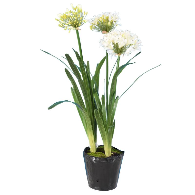 Agapanthe Artificielle en Motte
