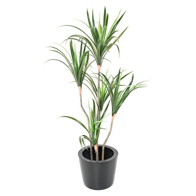 Dracaena Artificiel Marginata 125