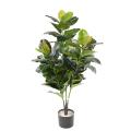 Rubber TREE Artificiel