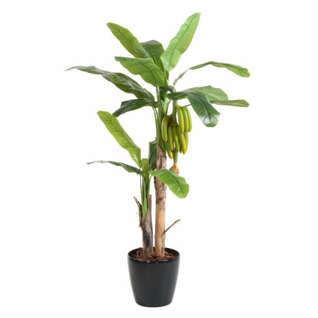 Bananier Artificiel TREE Avec Fruits de 180 cm de Hauteur 2 Troncs