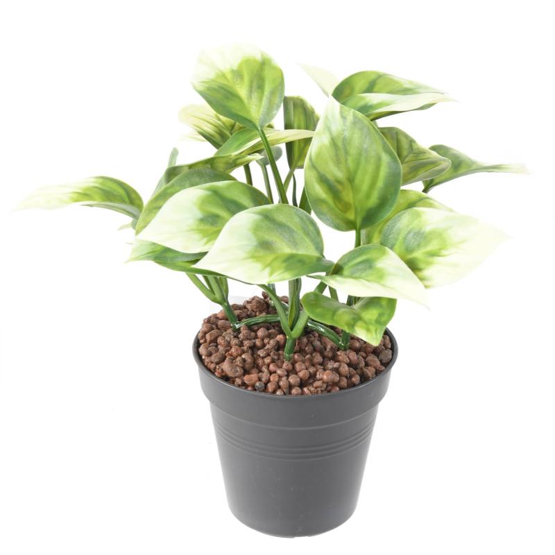 Philo Artificiel Bush
