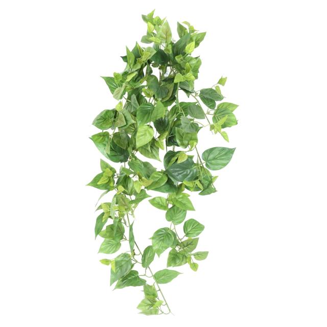Pothos Artificiel de 75 cm de Longueur
