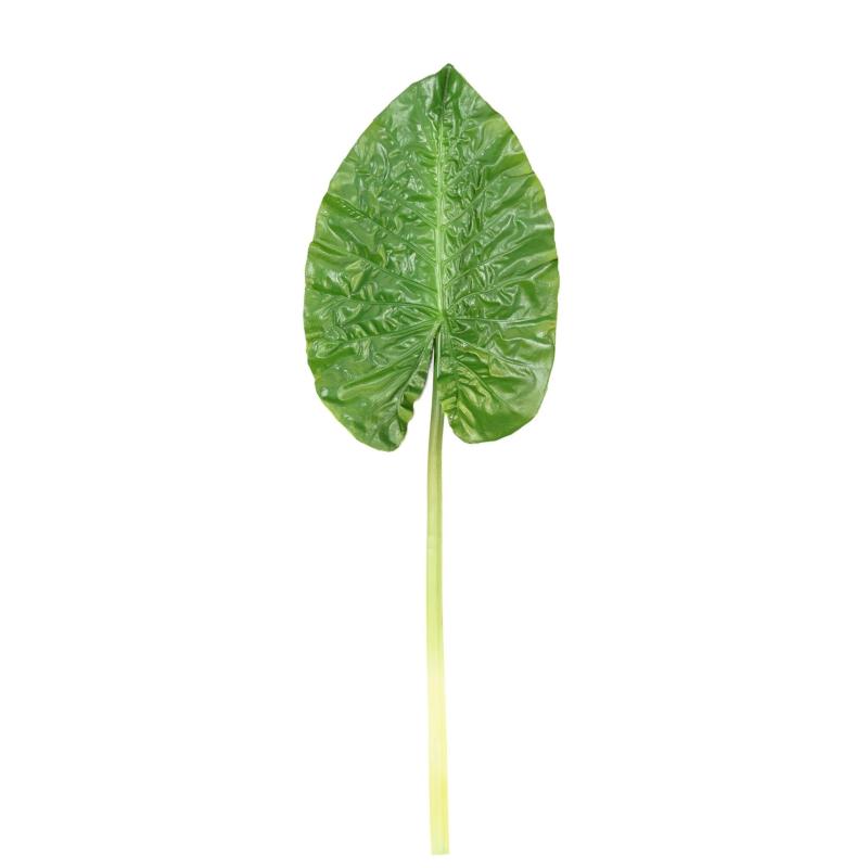 Feuille Artificielle Alocasia Rond