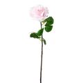 Rose 66 Artificielle