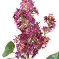 Lilas 82 Artificiel