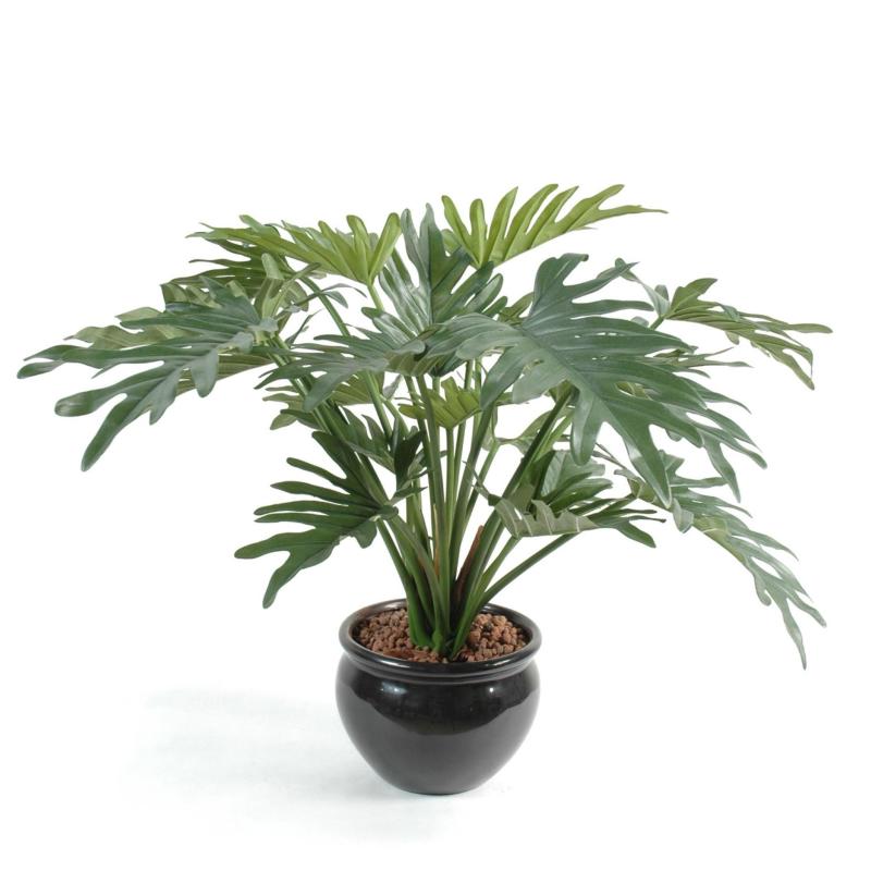 Philodendron Artificiel Selloum