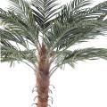 Palmier artificiel Phoenix Palm