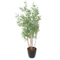 EUCALYPTUS Artificiel TREE BAIES