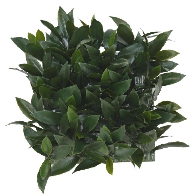 Laurier Nobilis Artificiel Plaque UV
