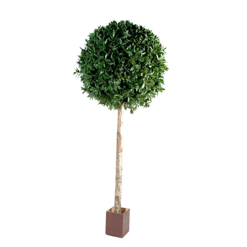 Laurier artificiel boule Tige