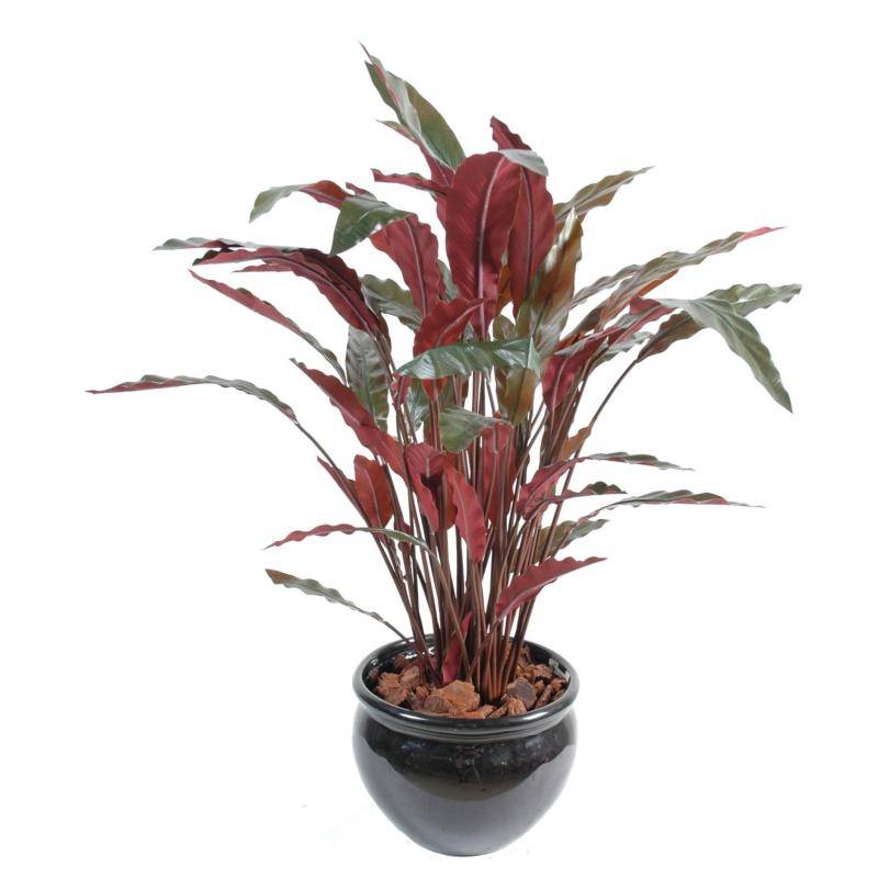 Calathea artificiel en pot