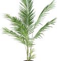 Areca artificiel 3 piquets
