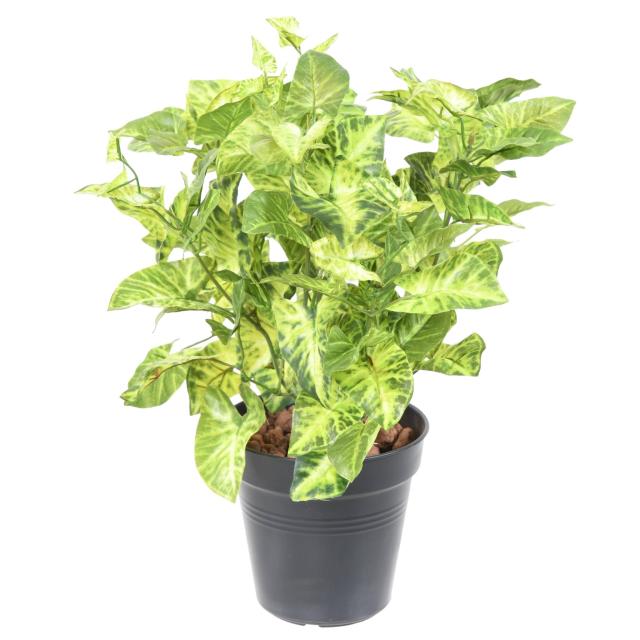 Syngonium *9 Artificiel