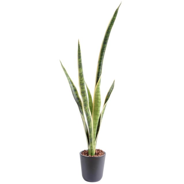 Sansevieria Artificiel Piquet GM