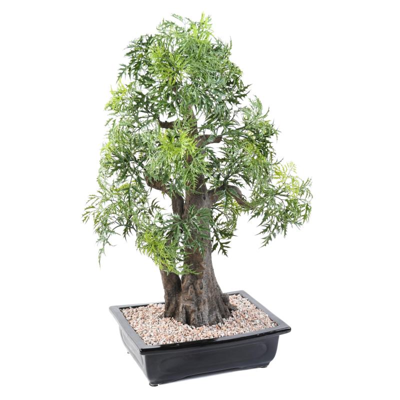 Bonsai Artificiel Aralia en Coupe