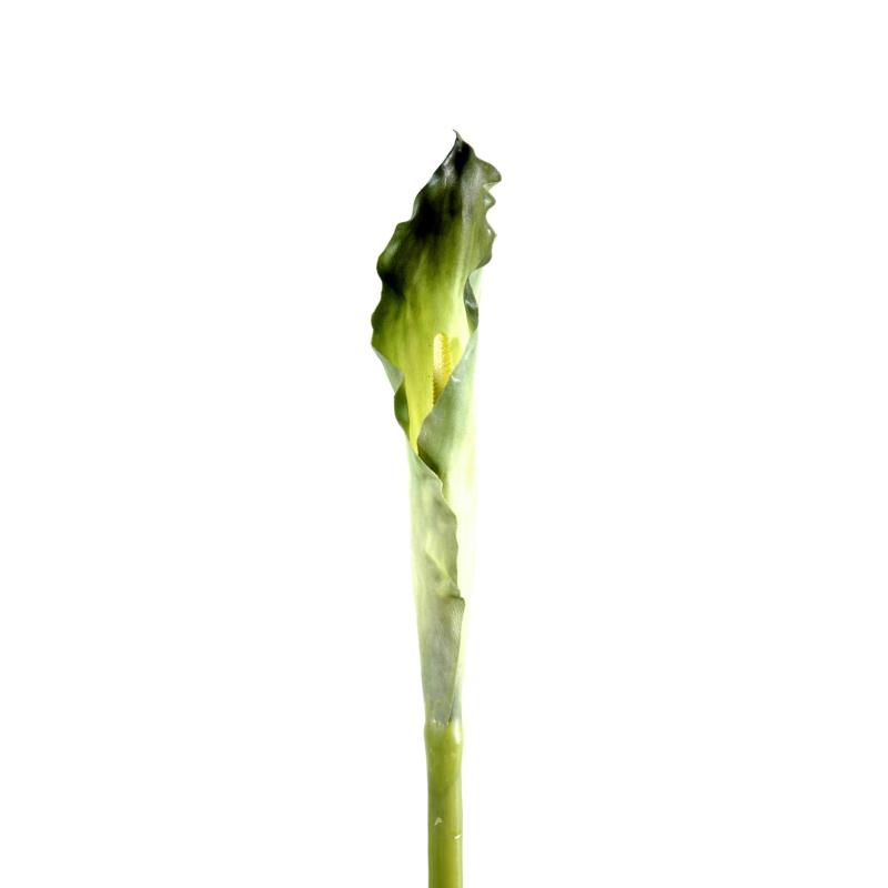 Arome artificiel XL (ARUM)
