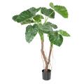 Alocasia Artificiel Calidora 2T