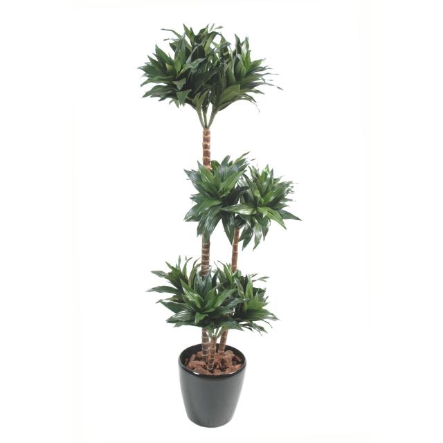 Dracena Artificiel Fragans 3 Troncs en Bois 90 cm et 120 cm de Hauteur