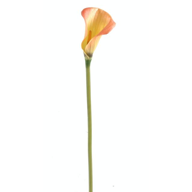 Calla Lily OU Arome Artificiel 90 cm de Hauteur en Tergal 3 Couleurs