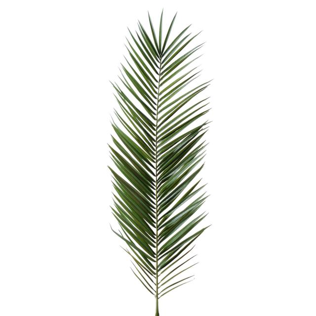 Palme Artificielle Phoenix Canariensis de 150 et 225 cm de Hauteur
