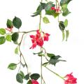 Bougainvillee Guirlande FR - Fire Resistant